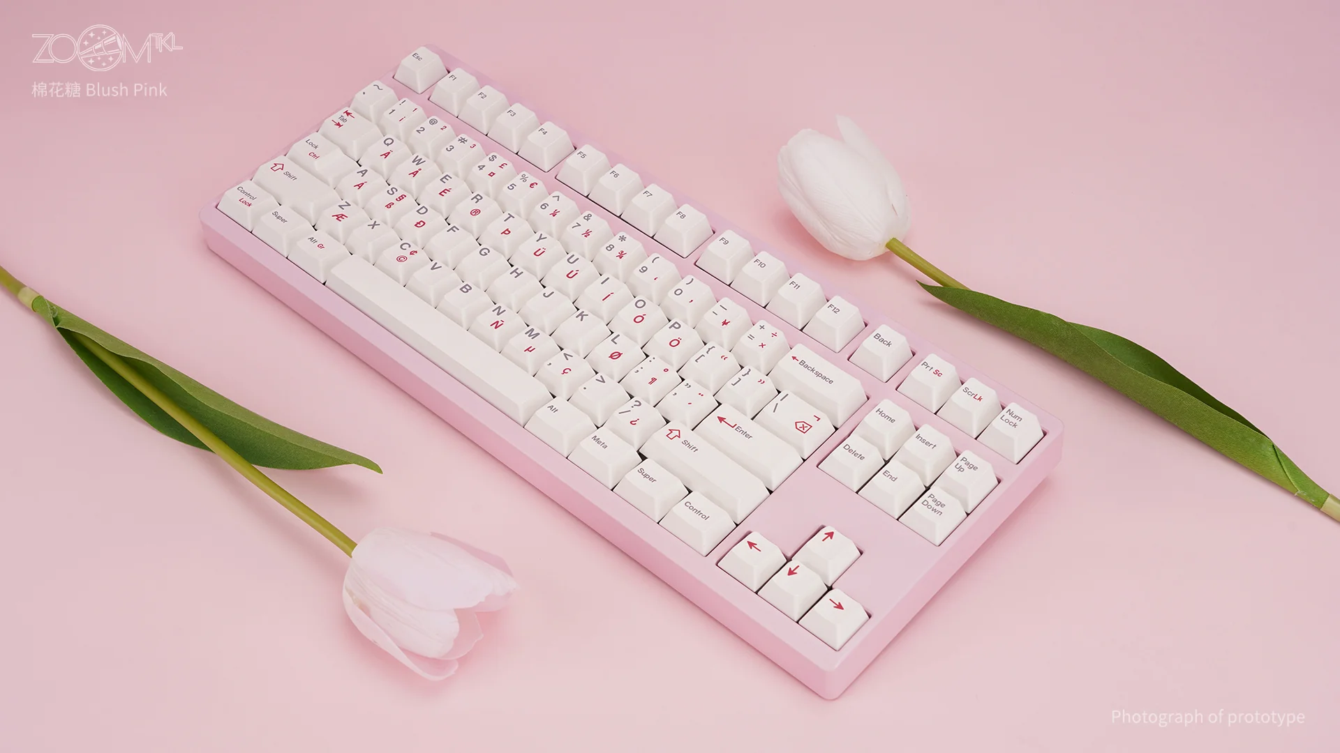 ZOOM TKL ESSENTIAL EDITION-Blush Pink - Image 10