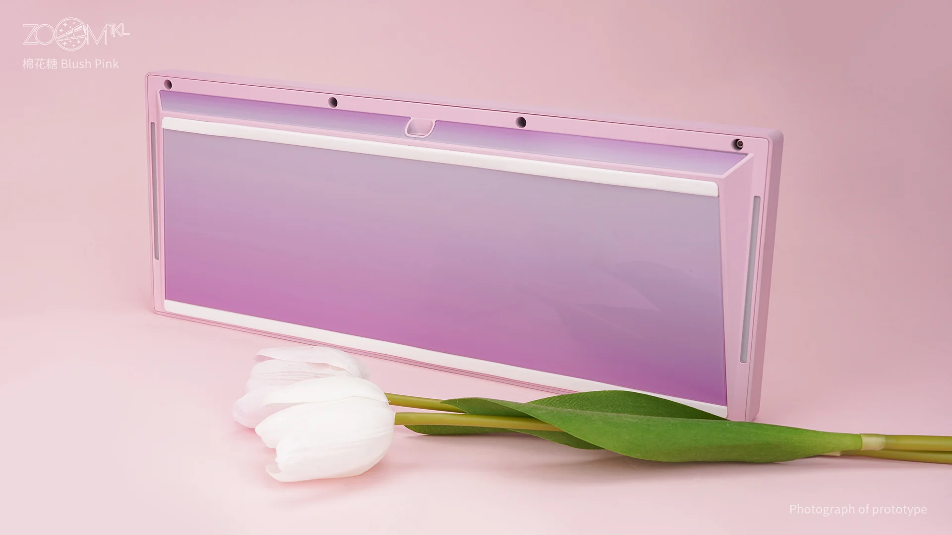 ZOOM TKL ESSENTIAL EDITION-Blush Pink - Image 11