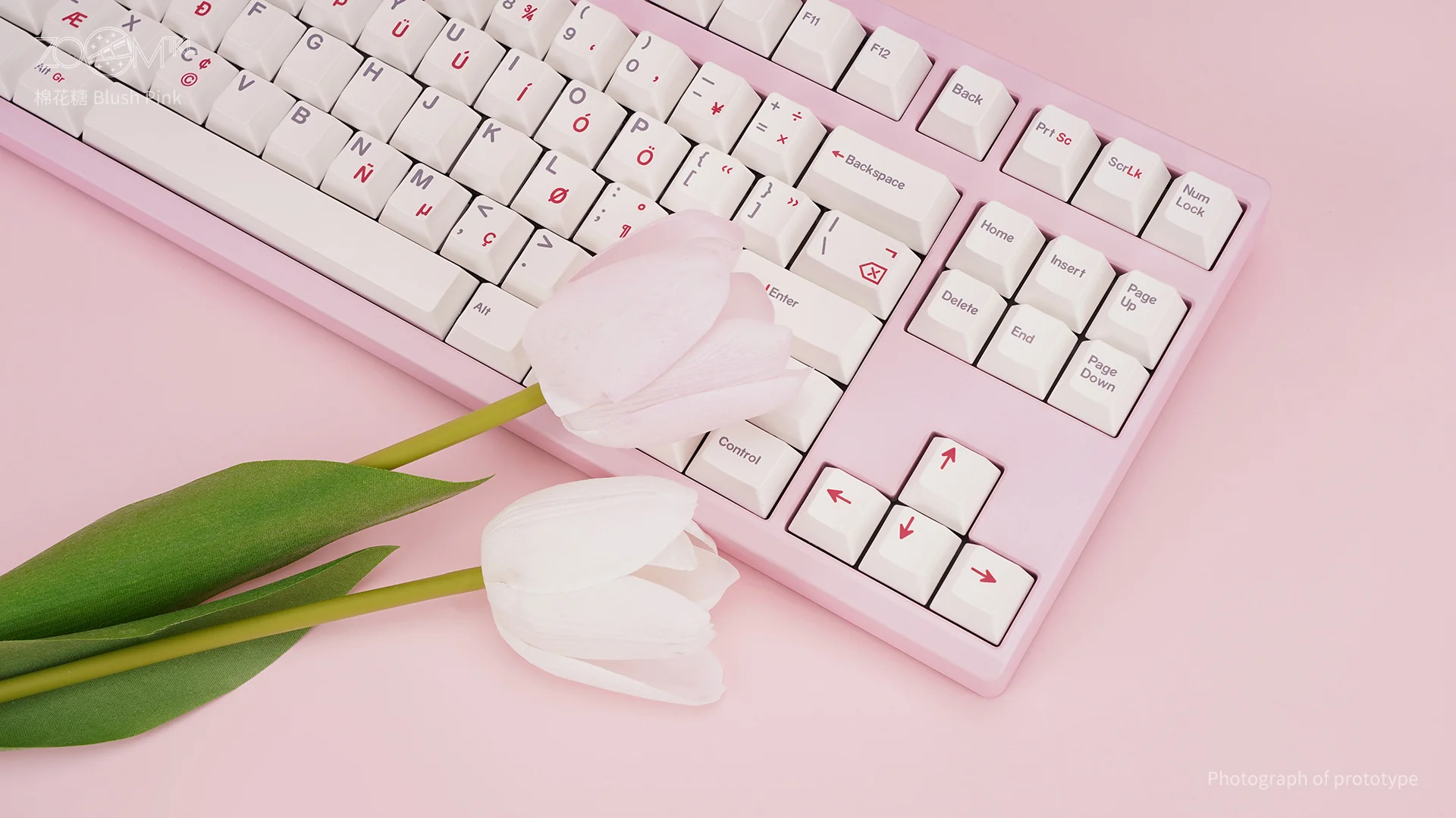ZOOM TKL ESSENTIAL EDITION-Blush Pink - Image 9