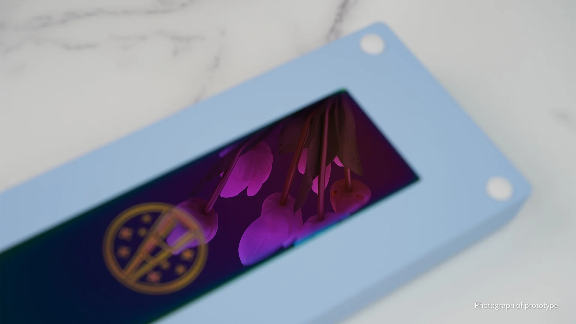 Zoom65 Essential Edition R2 - Image 9